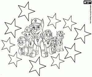 Pintar Estrelles y gossos de Paw Patrol