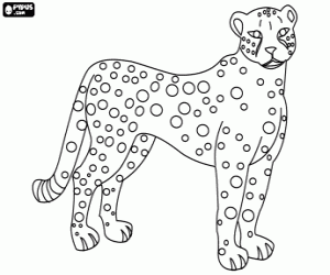 Pintar Un felí africà, el guepard