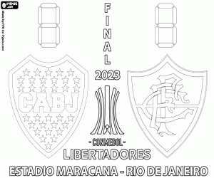 Pintar Final de la Copa Libertadores 2023