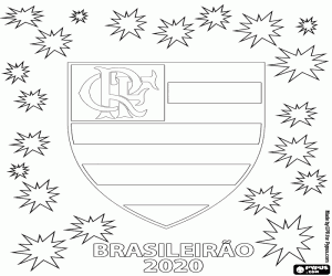 Pintar Flamengo, Brasileirão 2020