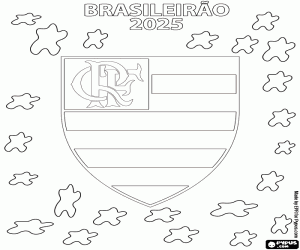 Pintar Flamengo, campió brasiler 2025