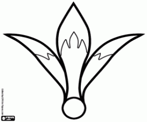 Pintar Una flor Amaryllus