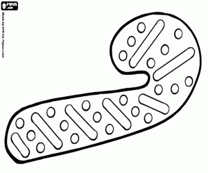 Pintar Galeta de Nadal com a bastonet de caramel