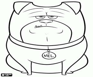 Pintar Un gos de companyia, Mel