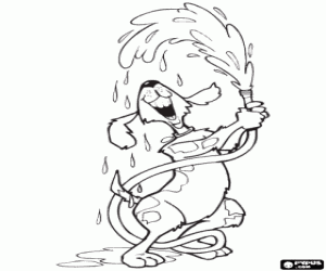 Pintar El gos juga amb l'aigua