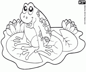 Pintar Una granota en un lliri d'aigua