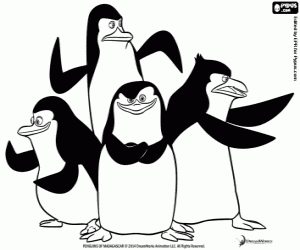 Pintar Grup de pingüins en acció