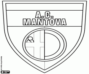 Pintar Insígnia de Mantova FC