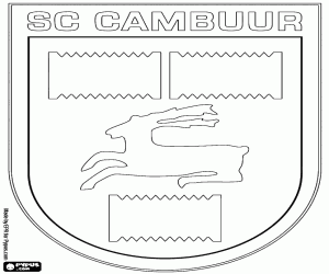 Pintar Insígnia de SC Cambuur
