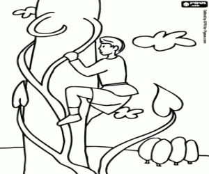 Pintar Jack i les mongetes màgiques