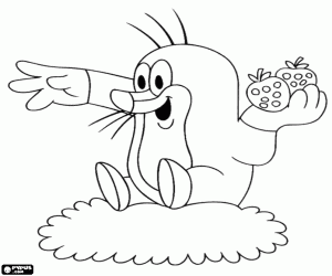 Pintar Krtek el talp amb maduixes a mà