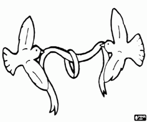 Pintar L'anell de casament i els coloms