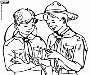 Pintar L'aprenentatge dels nusos