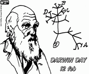 Pintar L'arbre de l'evolució de Darwin