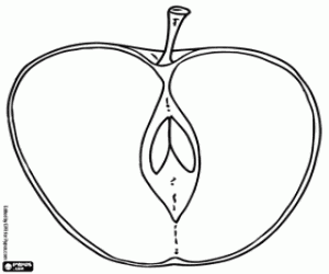 Pintar L'interior d'una poma