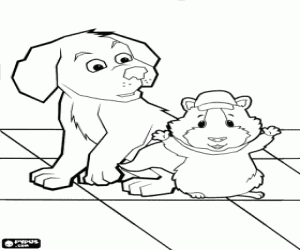 Pintar Linny el conillet d'Índies, Wonder Pets