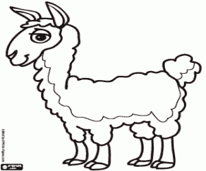 Pintar La llama, l'animal dels Inques