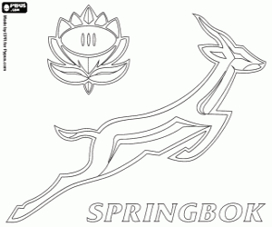 Pintar Logo de Sringboks