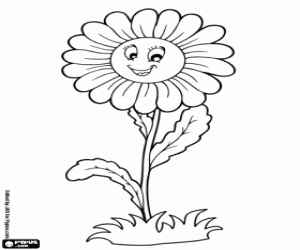 Pintar Una margarida, una flor