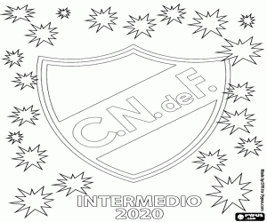 Pintar Nacional, Campió Intermedio 2020