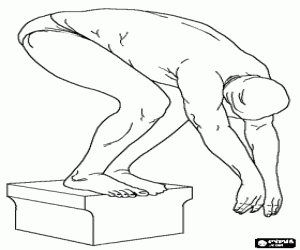 Pintar Nedador a punt per competir