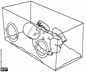 Pintar Nen prematur a la incubadora