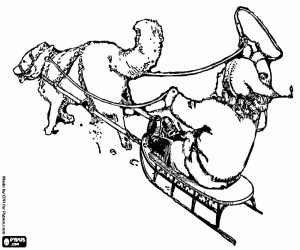 Pintar Nen en un trineu amb un husky