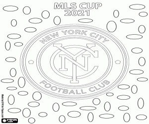 Pintar New York City FC, MLS Cup 2021