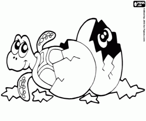 Pintar Ous de tortuga