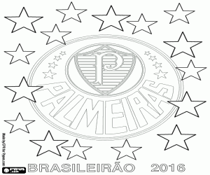 Pintar Palmeiras, campió de Brasil 2016