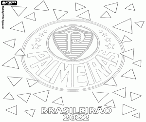Pintar Palmeiras, campió Brasil 2022