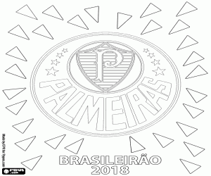 Pintar Palmeiras, campió brasiler 2018