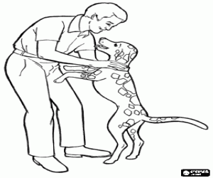 Pintar Un pare amb el seu gos, el dia del pare