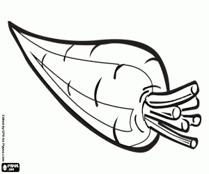 Pintar La pastanaga, una arrel, un vegetal