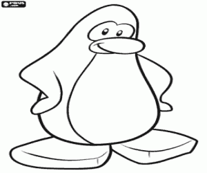 Pintar Pingüí de Club Penguin