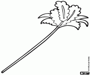 Pintar Un plomall per jugar amb el gat