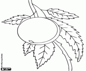 Pintar Un préssec a l'arbre