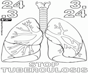 Pintar Els pulmons i la tuberculosi