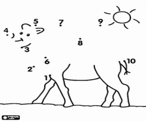 Pintar Punt a punt, un camell