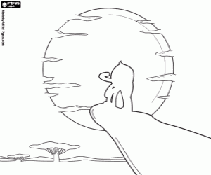 Pintar Pypus com el Simba al Rei Lleó