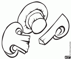 Pintar Uns quants xampinyons tallats