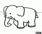 Elefant tranquil