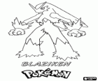 Blaziken és la forma final d'un Torchic, després de l'evolució en Combusken