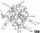 Els quatre Tortugues Ninja: Leonardo, Michelangelo, Donatello i Raphael. Les Tortugues Ninja o TMNT