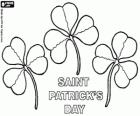 17 de març. Dia de Sant Patrici és la celebració de la cultura irlandesa. Trèvols utilitzats com un símbol d'Irlanda