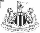 Emblema del Newcastle United FC, equip de futbol d'Anglaterra