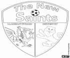Logo de The New Saints FC, club galés de futbol