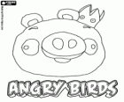 Rei Porc apareix a la part final del joc Angry Birds