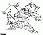Tom i Jerry a la neu amb els esquís