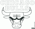 Logo Chicago Bulls, equip de la NBA. Divisió Central, Conferència Est